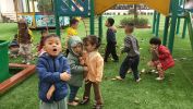 Img20240108082647 01