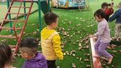 Img20240108082758 01