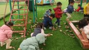 Img20240108082946 01