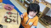Img20240109094045 01