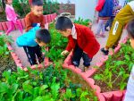 Tham quan, khám phá vườn rau