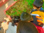 Tham quan, khám phá vườn rau