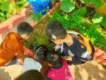 Tham quan, khám phá vườn rau