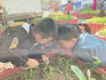 Tham quan, khám phá vườn rau