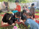 Tham quan, khám phá vườn rau