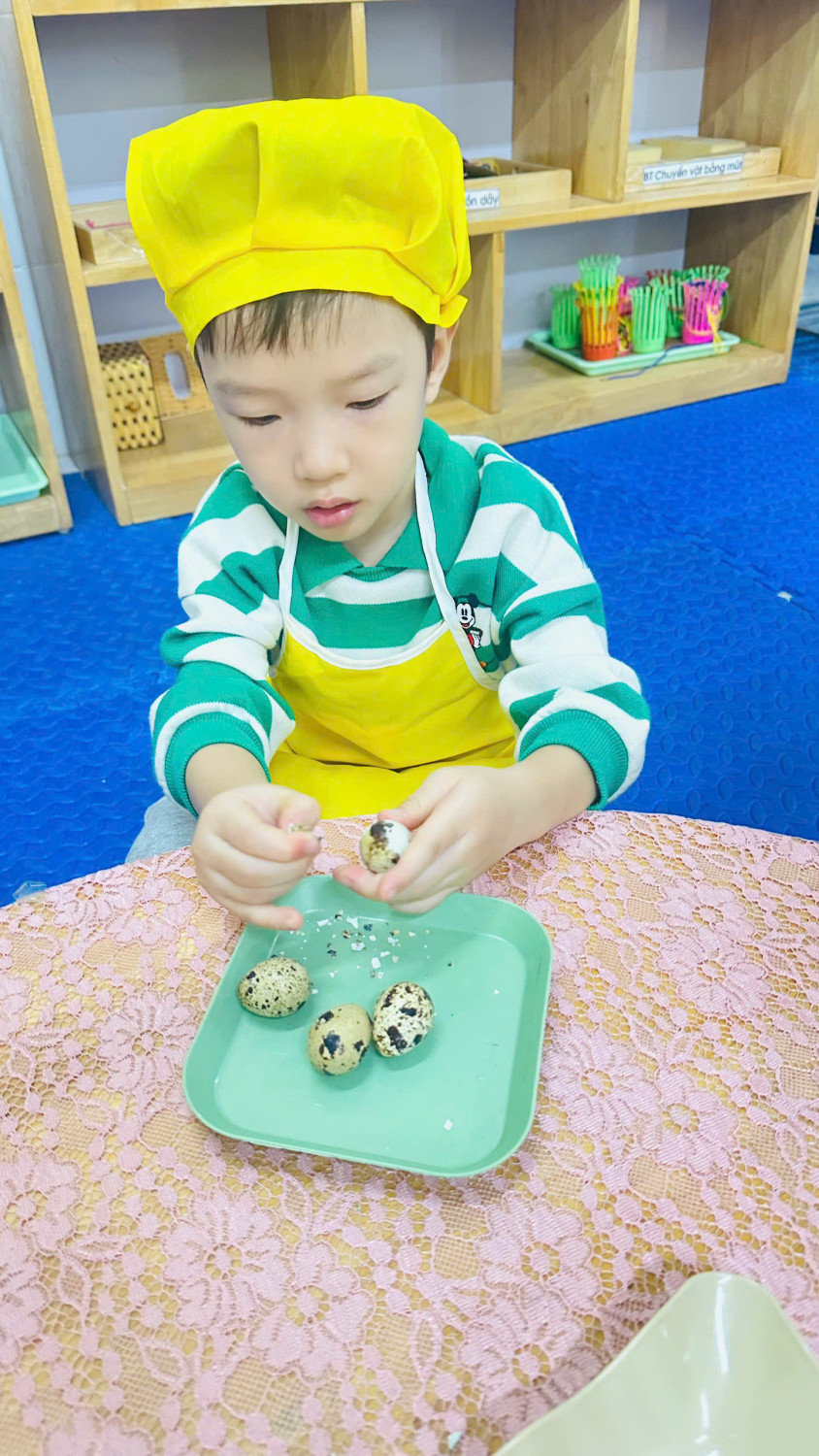 z7259865507001 b5c8928329d8a8b3a1e0e0dd43de6151