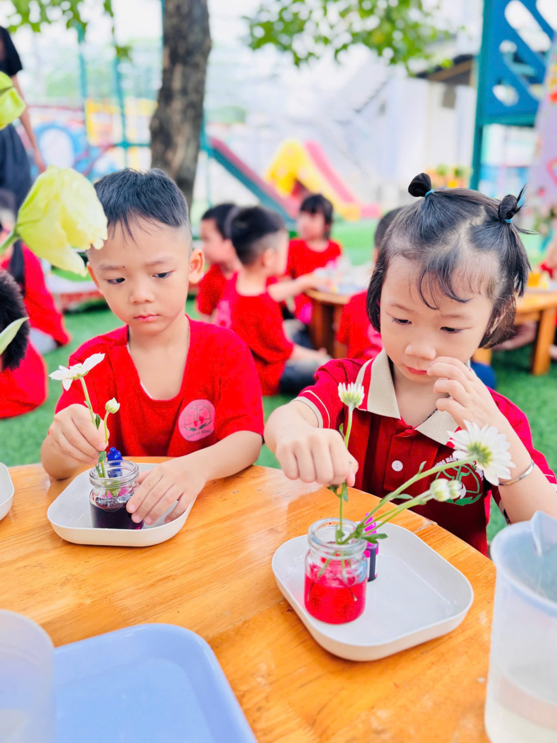 z7283992144518 b9221c971ac9edec0341b786a14dd17a