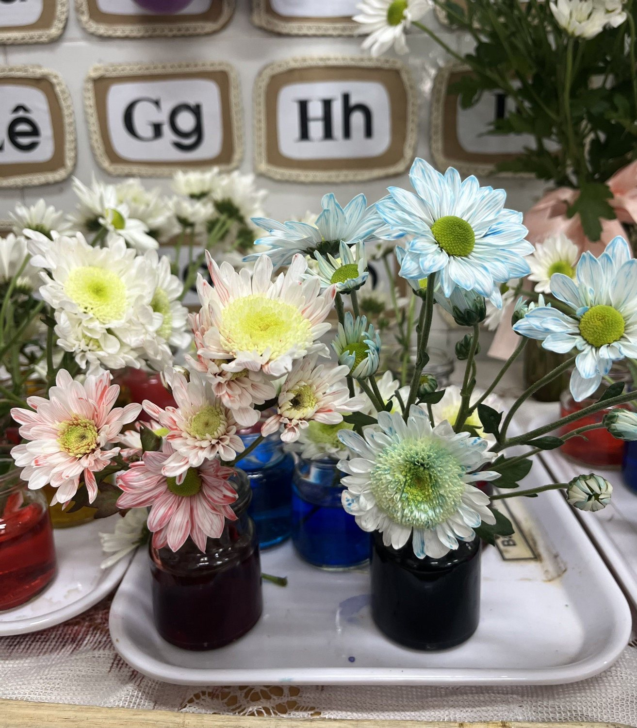 z7283999299739 bb27ba16518bc61fa9091b49f38663db