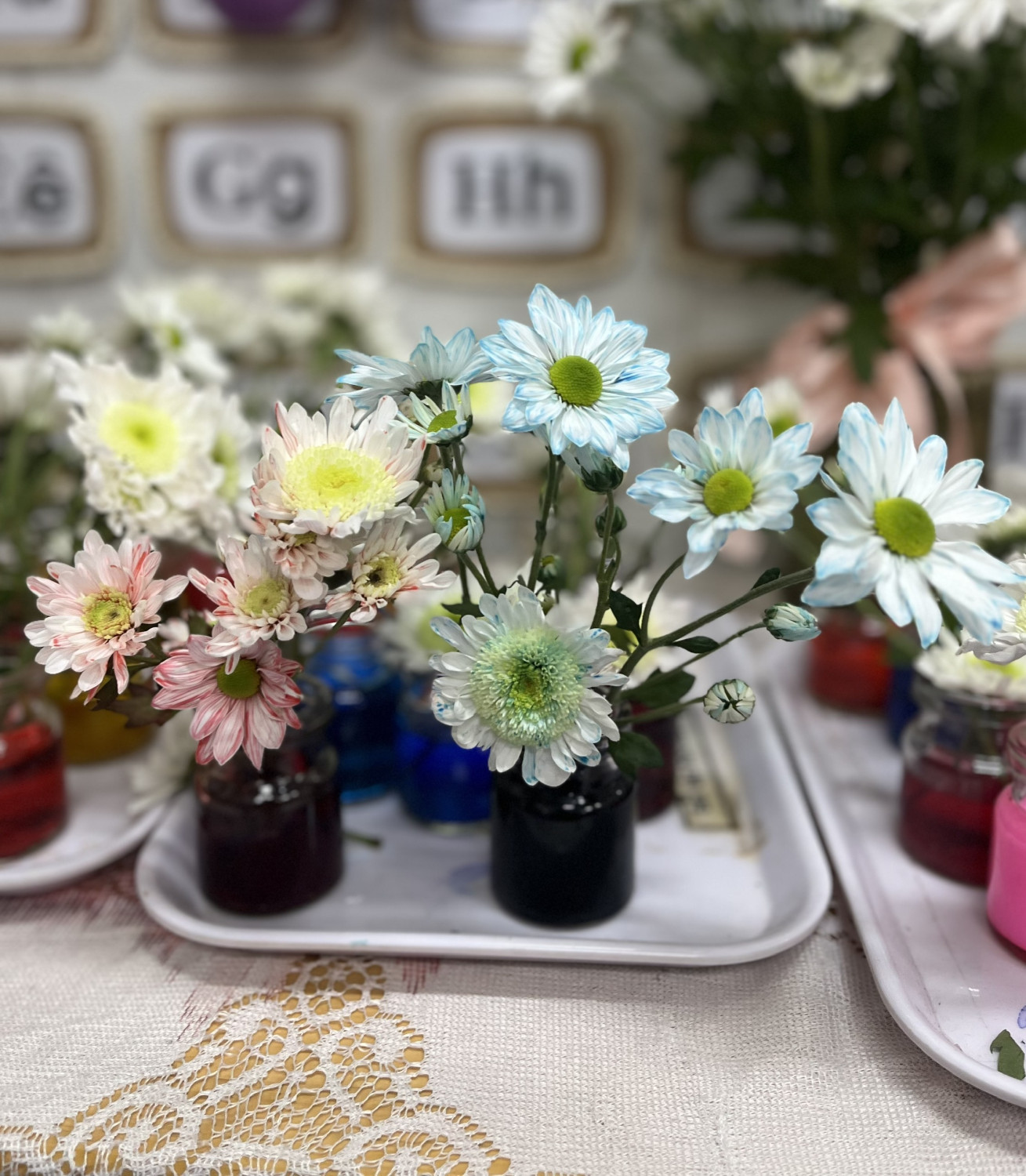 z7283999460751 11c8f778c05f9be11e24fef26723ba13