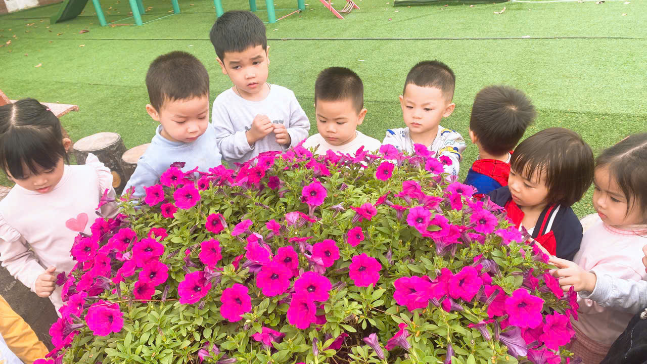 z7287665999495 2bf2ee2461a040299f88ec8700587f41