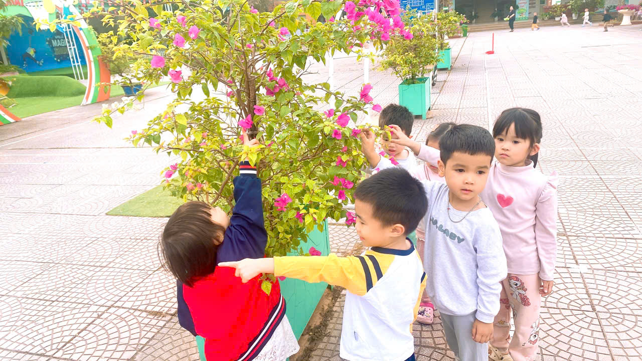 z7287666021371 ce93286fb29711d03aa88d2d05e3eb39